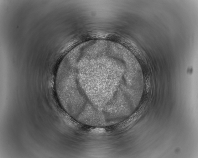 X0000098120374200805021202