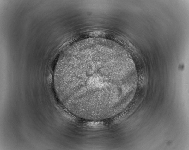 X0000098120375200805021202