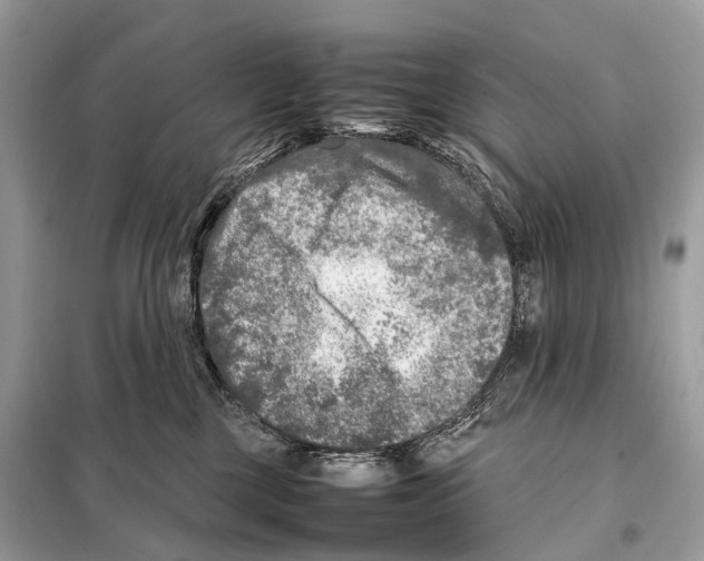 X0000098120377200805021202