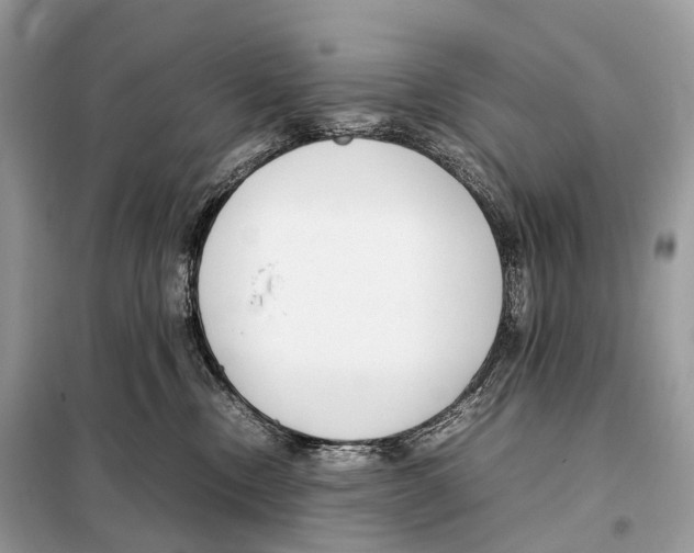 X0000098120378200805021202