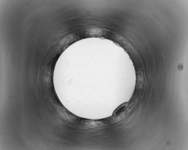 X0000098120379200805021202