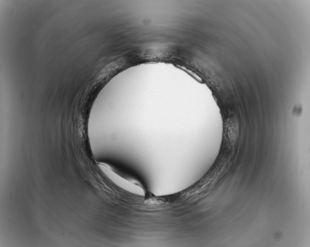 X0000098120380200805021202