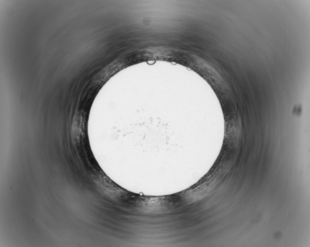 X0000098120382200805021202