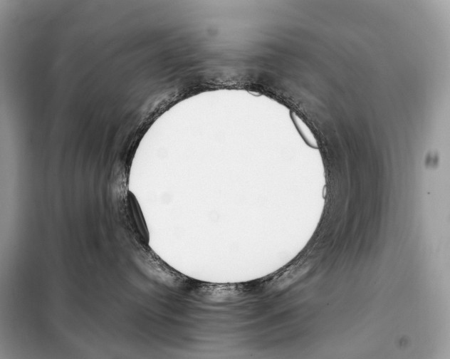 X0000098120384200805021202