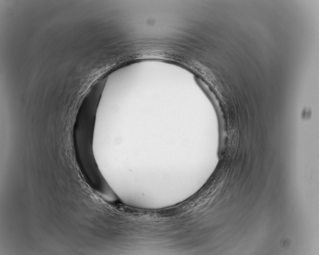X0000098120385200805021202