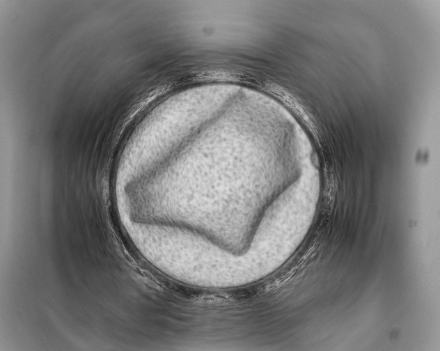 X0000098120386200805021202