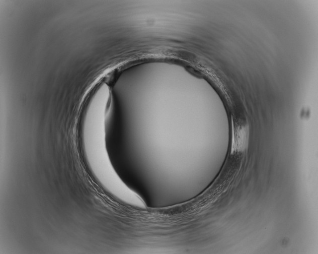 X0000098120387200805021202