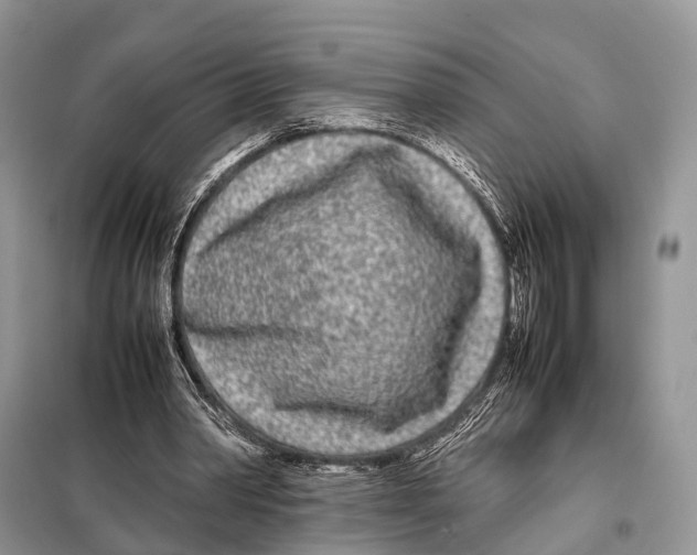 X0000098120390200805021202