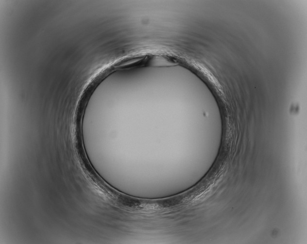 X0000098120391200805021202