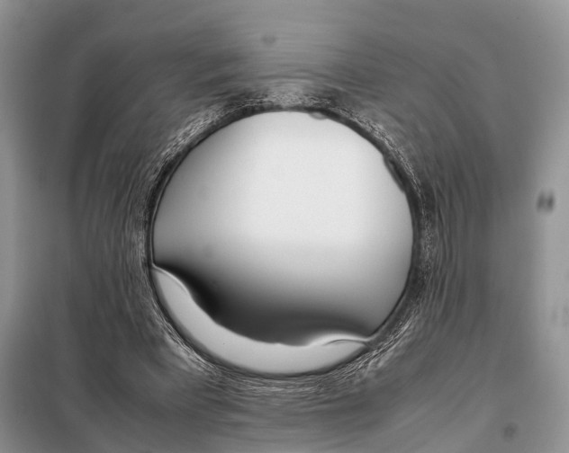 X0000098120393200805021201