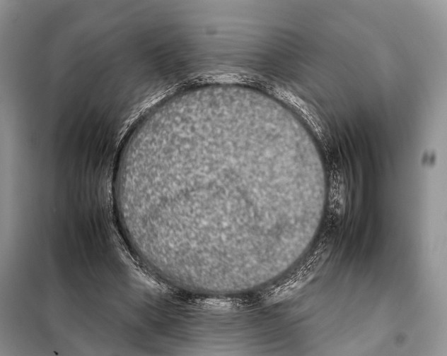 X0000098120394200805021201