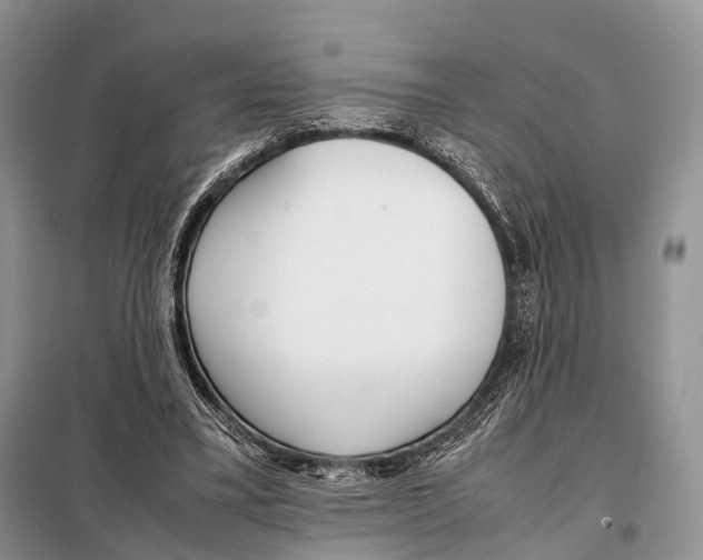X0000098120395200805021201
