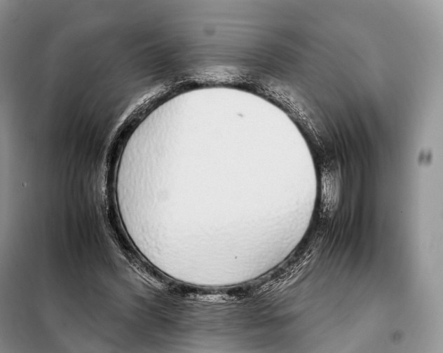 X0000098120396200805021201