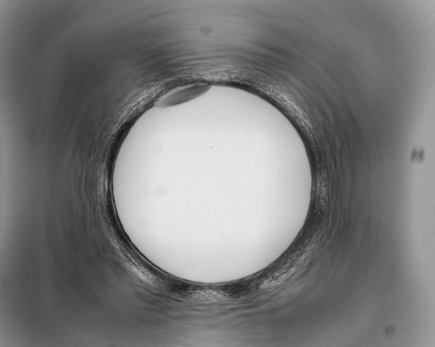 X0000098120397200805021201