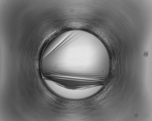 X0000098120399200805021201
