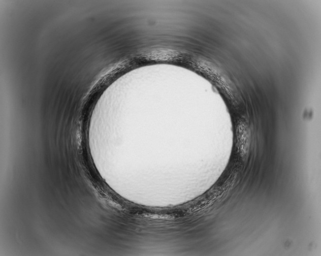 X0000098120400200805021201