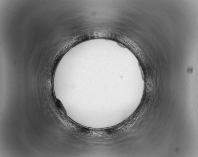 X0000098120401200805021201