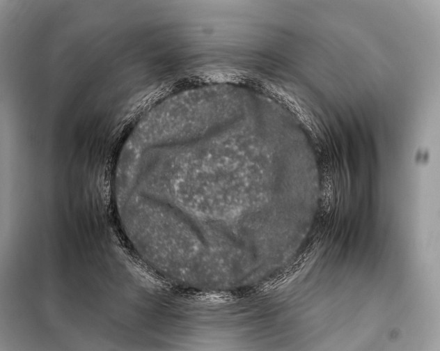 X0000098120402200805021201