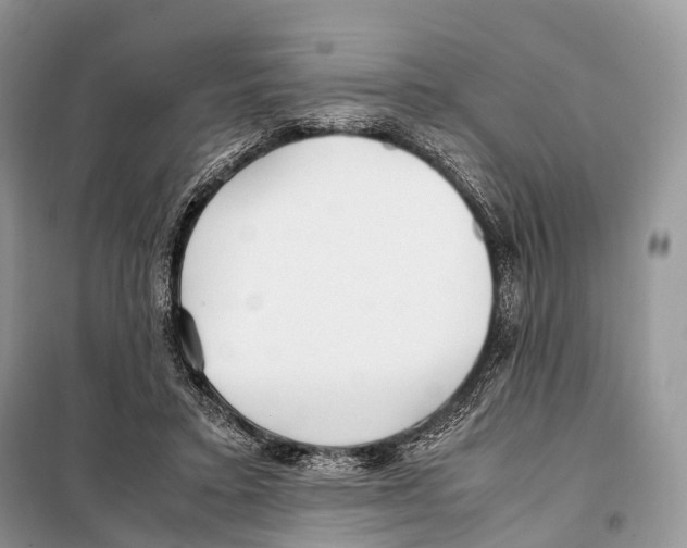 X0000098120403200805021201