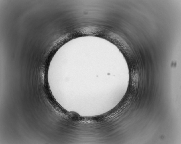 X0000098120404200805021201
