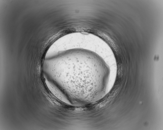 X0000098120405200805021201