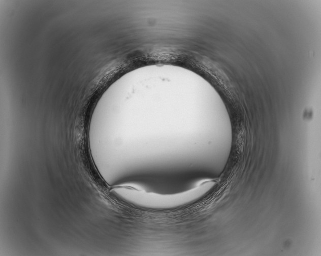 X0000098120407200805021201