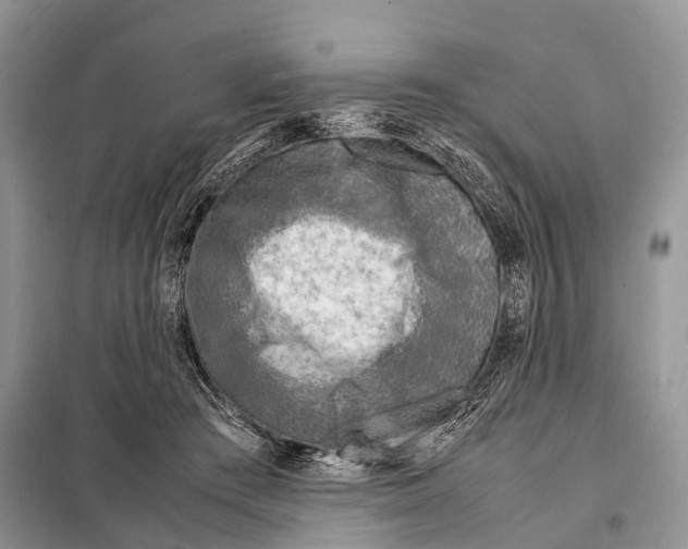 X0000098120409200805021201