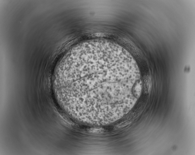 X0000098120410200805021201