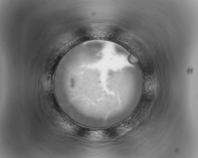 X0000098120411200805021201