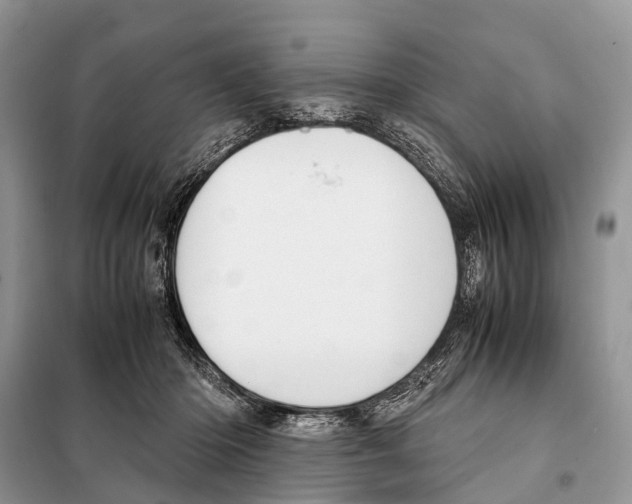 X0000098120414200805021201