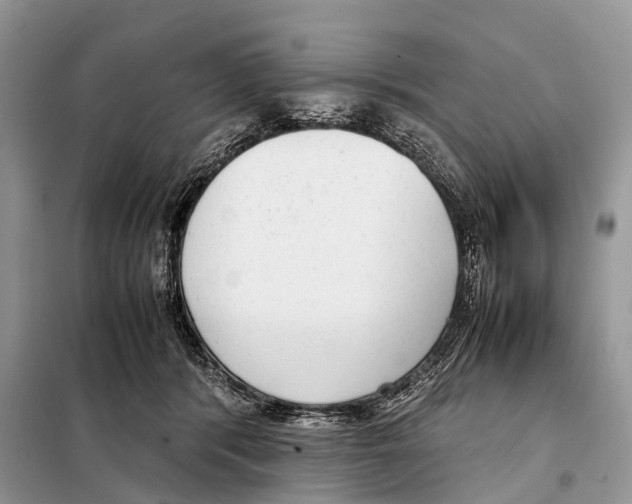 X0000098120416200805021201