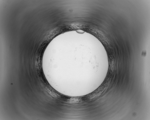 X0000098120418200805021201