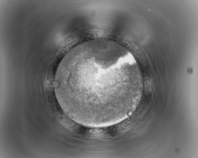 X0000098120419200805021201