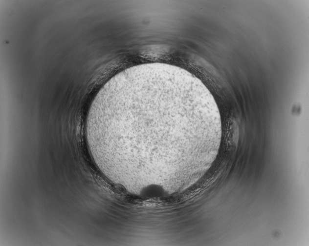 X0000098120420200805021201