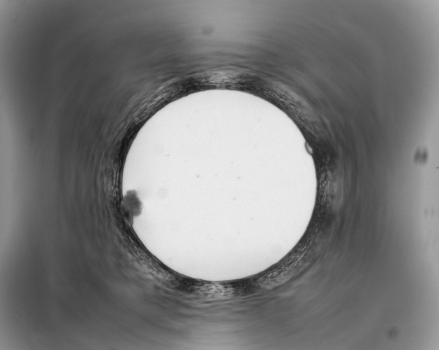 X0000098120421200805021201
