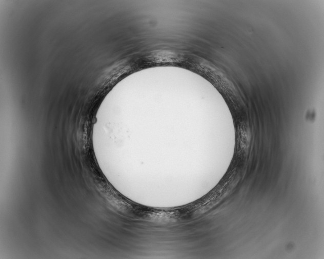 X0000098120422200805021201