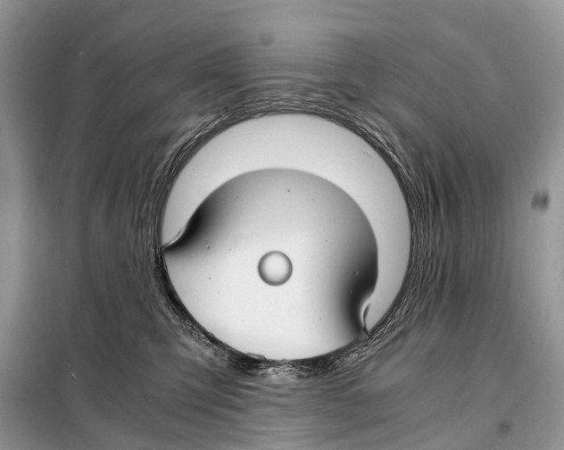 X0000098120423200805021201
