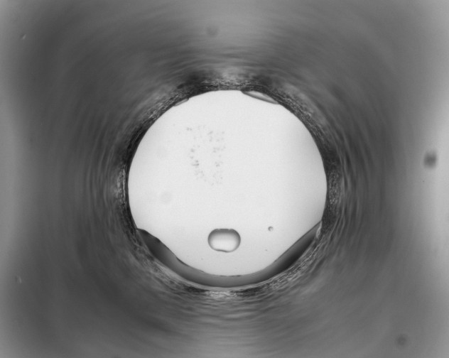 X0000098120425200805021201