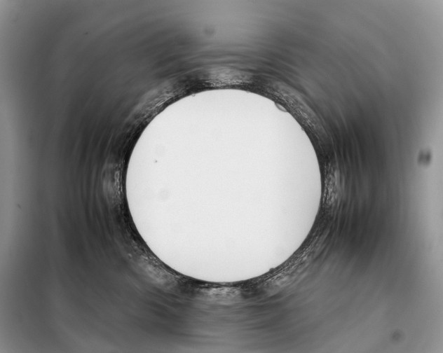 X0000098120426200805021201