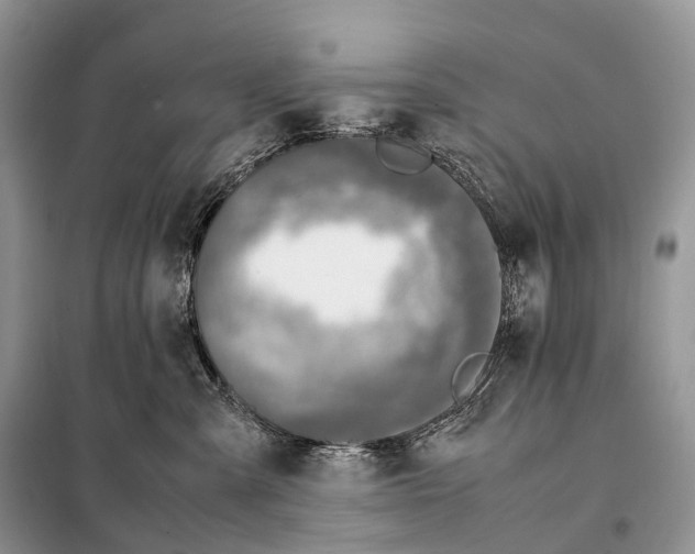 X0000098120427200805021201