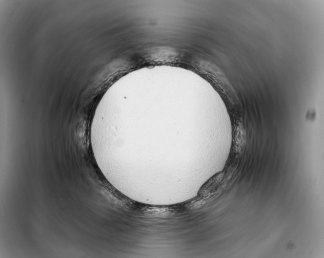 X0000098120428200805021201
