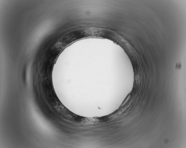X0000098120429200805021201