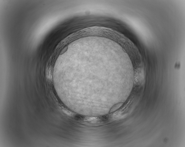 X0000098120431200805021201