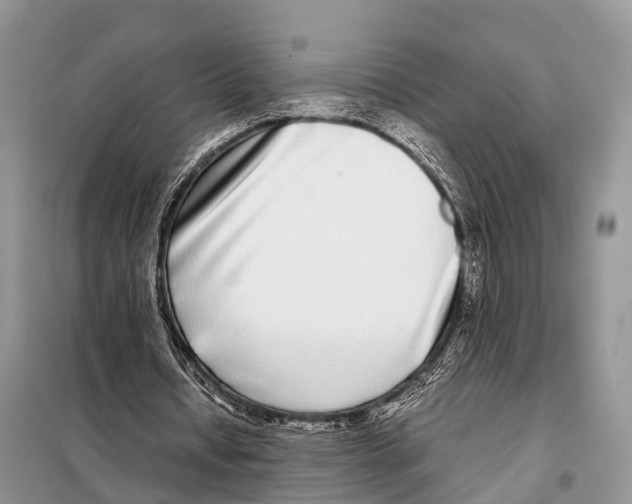 X0000098120434200805021200