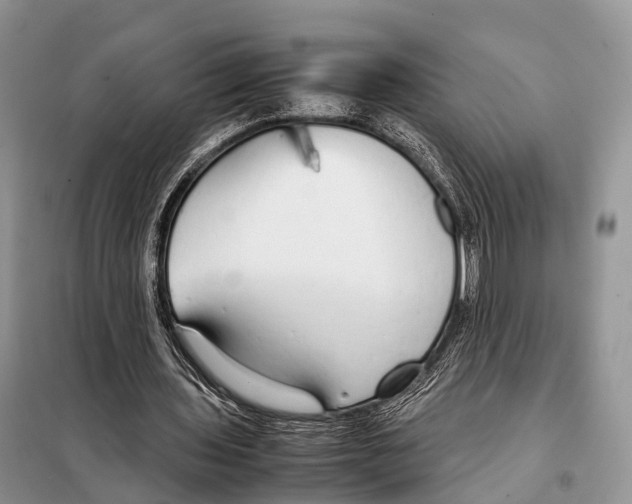 X0000098120435200805021200