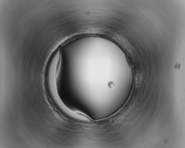 X0000098120436200805021200