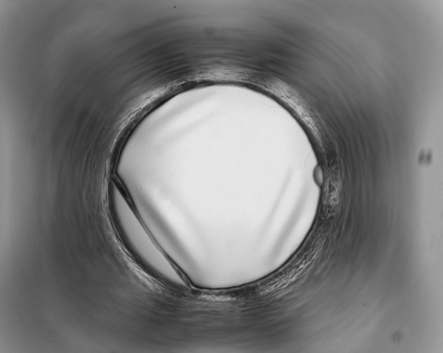 X0000098120437200805021200