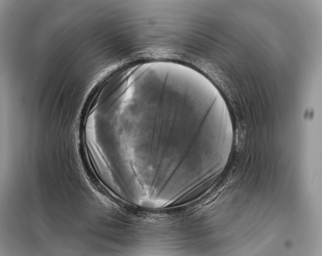 X0000098120438200805021200