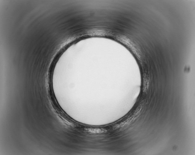 X0000098120439200805021200