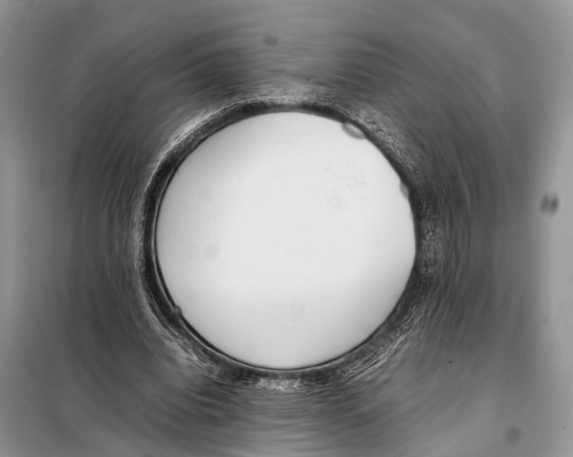 X0000098120440200805021200